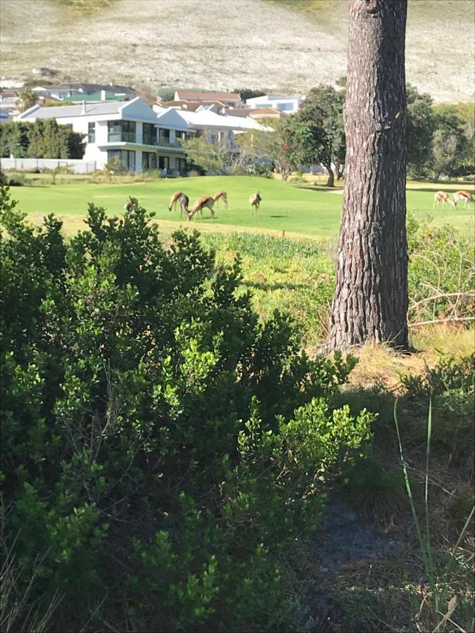 Francolin Manor Hermanus Exterior foto